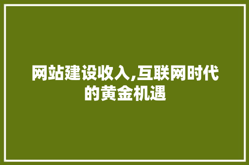网站建设收入,互联网时代的黄金机遇