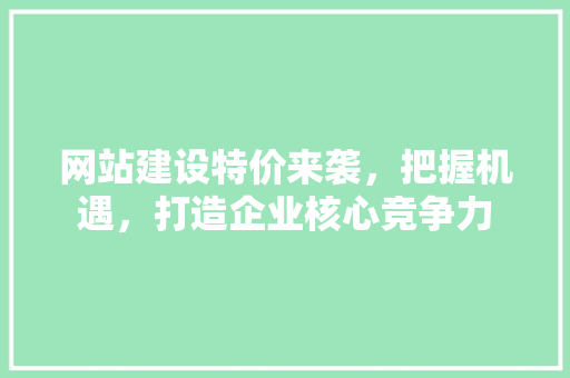 网站建设特价来袭，把握机遇，打造企业核心竞争力 百度算法