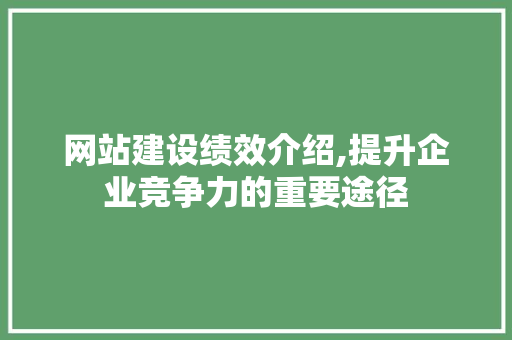 网站建设绩效介绍,提升企业竞争力的重要途径