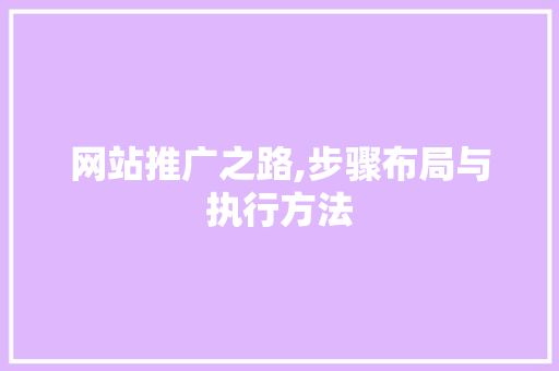 网站推广之路,步骤布局与执行方法