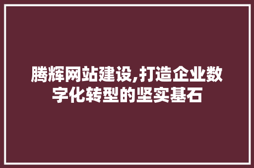 腾辉网站建设,打造企业数字化转型的坚实基石 网站优化