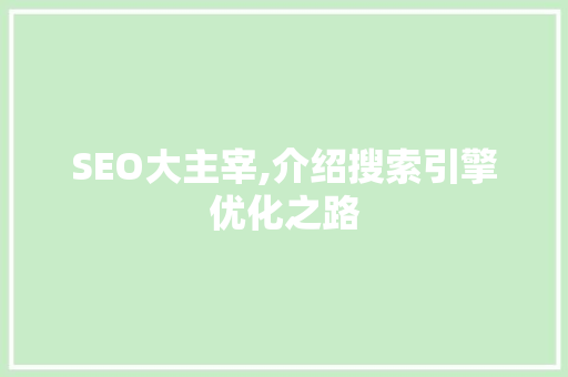 SEO大主宰,介绍搜索引擎优化之路