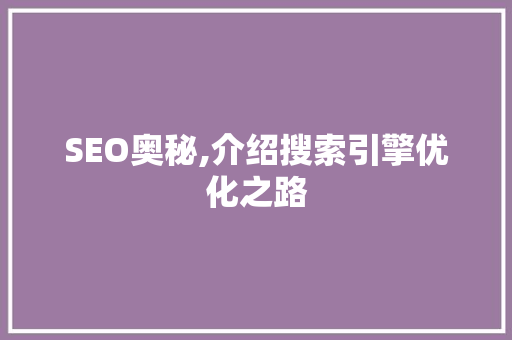 SEO奥秘,介绍搜索引擎优化之路