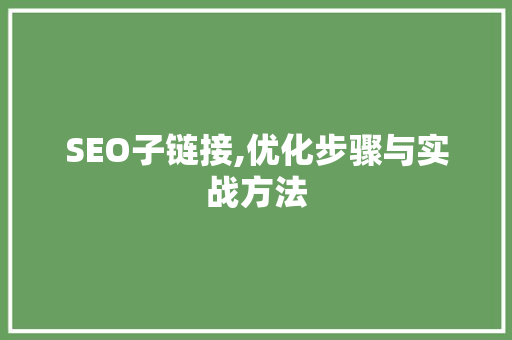 SEO子链接,优化步骤与实战方法