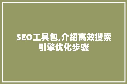 SEO工具包,介绍高效搜索引擎优化步骤 英文谷歌算法