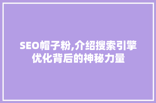 SEO帽子粉,介绍搜索引擎优化背后的神秘力量
