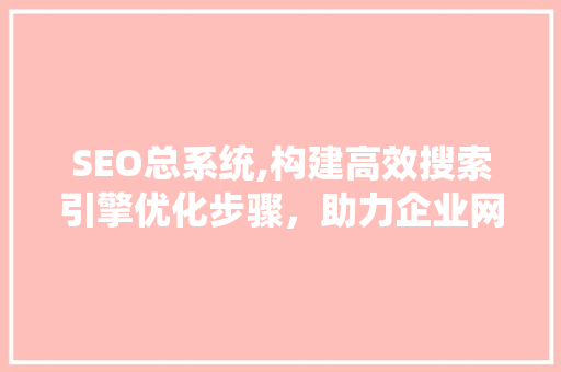 SEO总系统,构建高效搜索引擎优化步骤，助力企业网络营销 网站优化