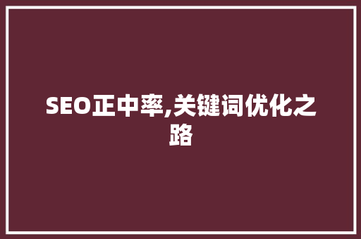 SEO正中率,关键词优化之路