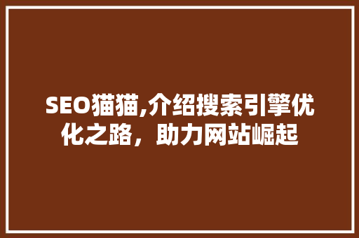 SEO猫猫,介绍搜索引擎优化之路，助力网站崛起 网站优化