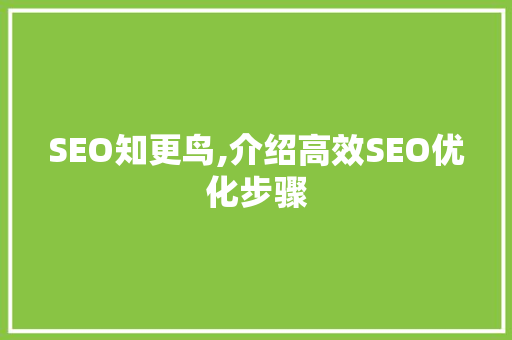 SEO知更鸟,介绍高效SEO优化步骤 小程序开发