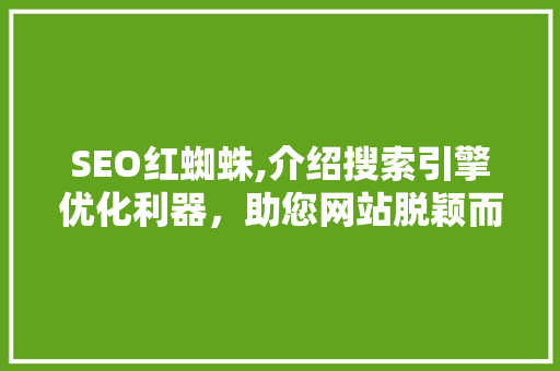 SEO红蜘蛛,介绍搜索引擎优化利器，助您网站脱颖而出 网站优化