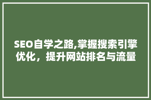 SEO自学之路,掌握搜索引擎优化，提升网站排名与流量