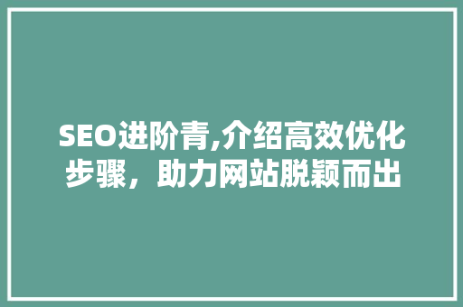 SEO进阶青,介绍高效优化步骤，助力网站脱颖而出 网站开发
