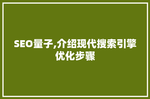 SEO量子,介绍现代搜索引擎优化步骤
