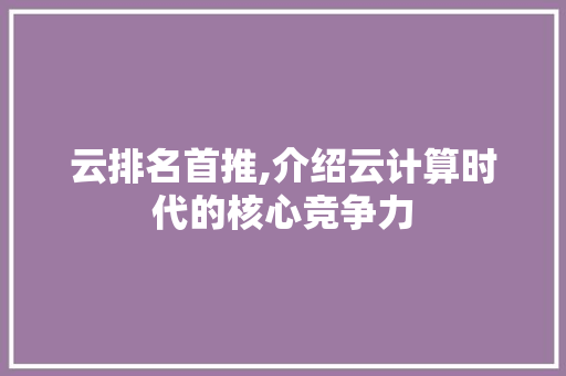 云排名首推,介绍云计算时代的核心竞争力