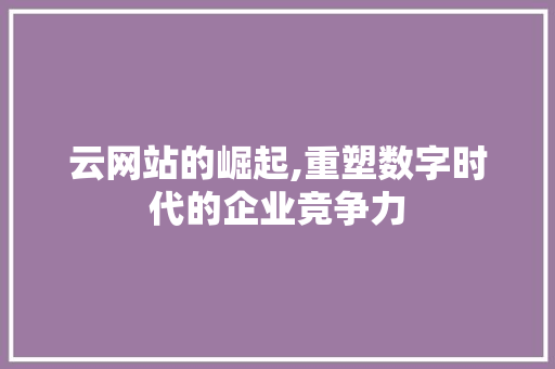 云网站的崛起,重塑数字时代的企业竞争力
