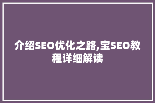 介绍SEO优化之路,宝SEO教程详细解读 百度算法