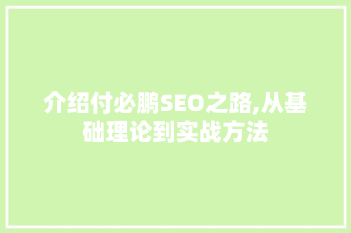 介绍付必鹏SEO之路,从基础理论到实战方法