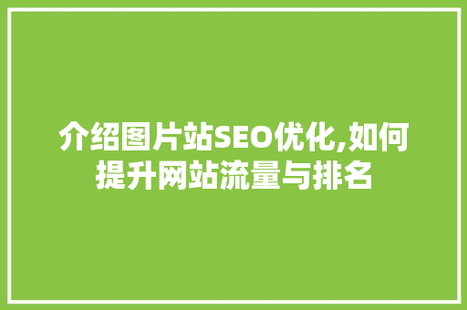 介绍图片站SEO优化,如何提升网站流量与排名 百度算法