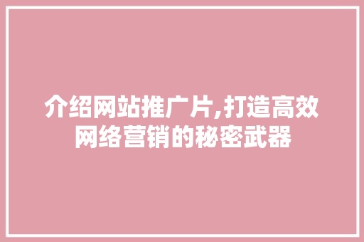 介绍网站推广片,打造高效网络营销的秘密武器 AI技术学习