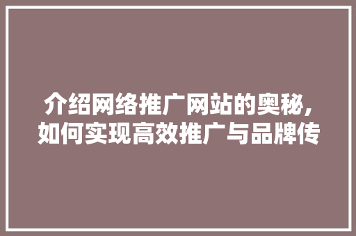 介绍网络推广网站的奥秘,如何实现高效推广与品牌传播