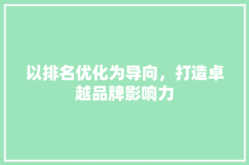 以排名优化为导向，打造卓越品牌影响力 seo技术