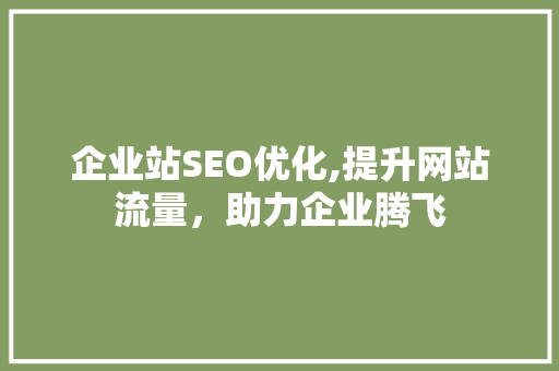 企业站SEO优化,提升网站流量，助力企业腾飞 网站优化