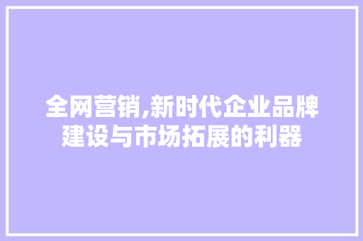 全网营销,新时代企业品牌建设与市场拓展的利器 小程序开发