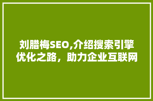 刘腊梅SEO,介绍搜索引擎优化之路，助力企业互联网营销 百度算法