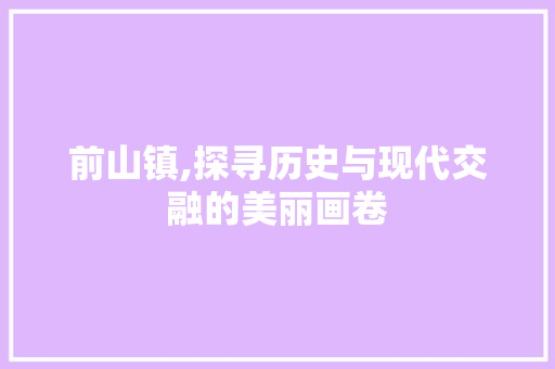 前山镇,探寻历史与现代交融的美丽画卷 seo技术