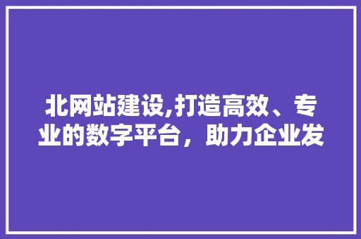 北网站建设,打造高效、专业的数字平台，助力企业发展 360搜优化