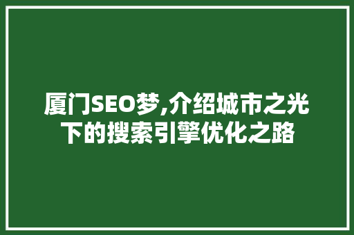 厦门SEO梦,介绍城市之光下的搜索引擎优化之路