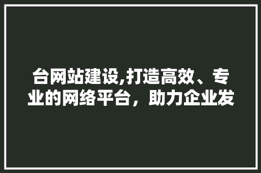台网站建设,打造高效、专业的网络平台，助力企业发展 AI技术学习