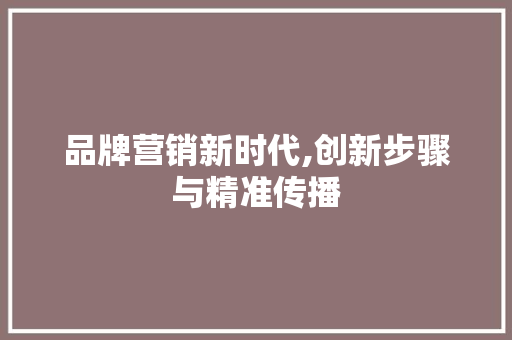 品牌营销新时代,创新步骤与精准传播 英文谷歌算法