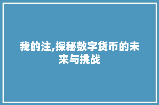 我的注,探秘数字货币的未来与挑战
