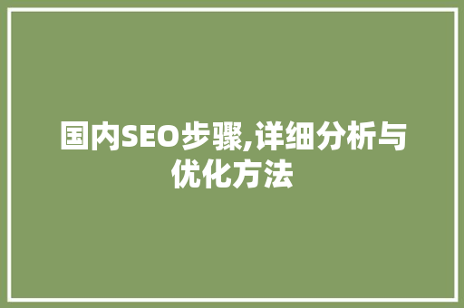 国内SEO步骤,详细分析与优化方法