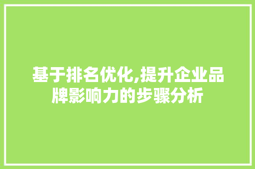 基于排名优化,提升企业品牌影响力的步骤分析 头条优化