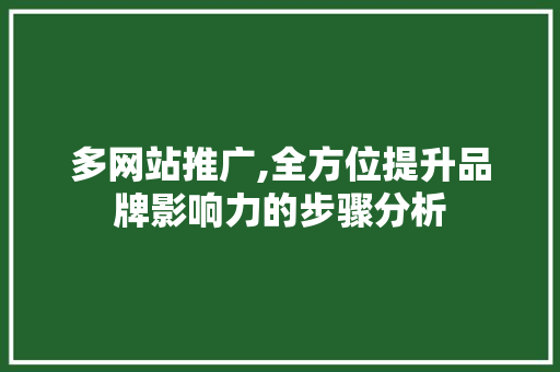 多网站推广,全方位提升品牌影响力的步骤分析