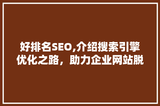 好排名SEO,介绍搜索引擎优化之路，助力企业网站脱颖而出