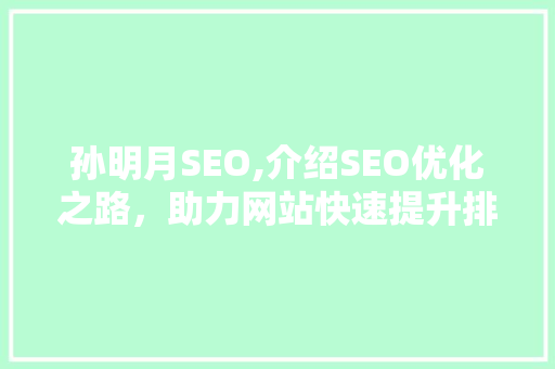 孙明月SEO,介绍SEO优化之路，助力网站快速提升排名