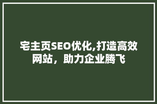 宅主页SEO优化,打造高效网站，助力企业腾飞 360搜优化