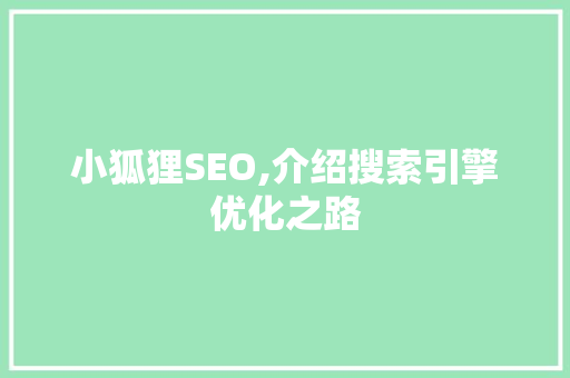 小狐狸SEO,介绍搜索引擎优化之路 seo技术