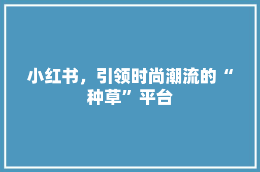 小红书，引领时尚潮流的“种草”平台 搜狗优化