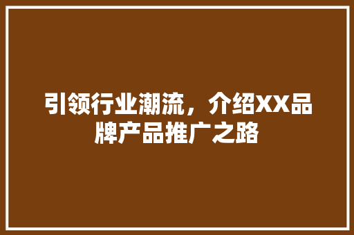 引领行业潮流，介绍XX品牌产品推广之路
