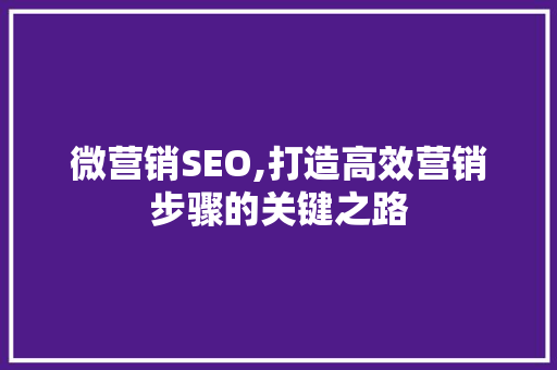 微营销SEO,打造高效营销步骤的关键之路