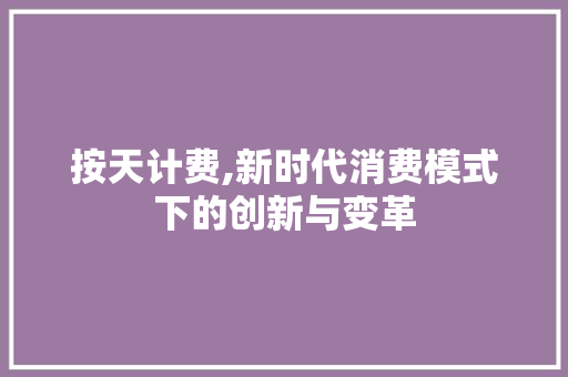 按天计费,新时代消费模式下的创新与变革 网站开发