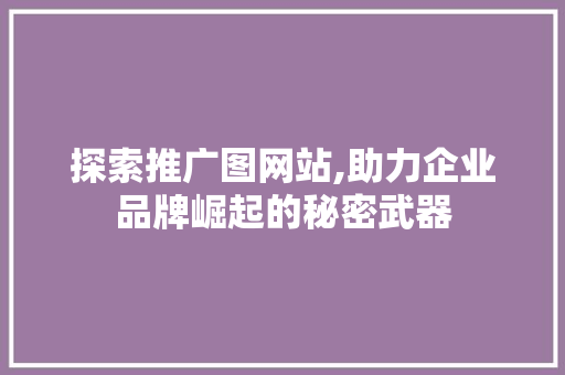 探索推广图网站,助力企业品牌崛起的秘密武器 网站开发