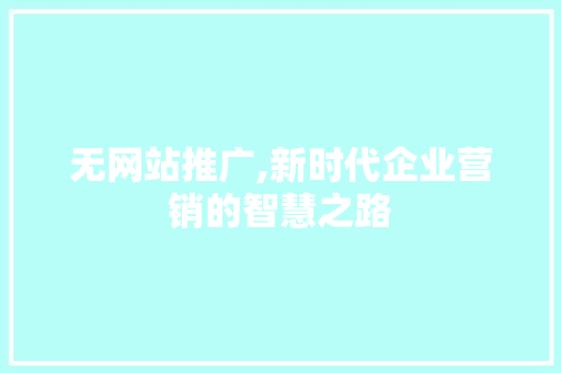 无网站推广,新时代企业营销的智慧之路 网站优化