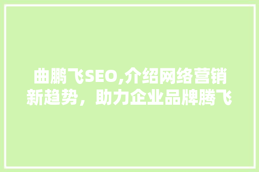 曲鹏飞SEO,介绍网络营销新趋势，助力企业品牌腾飞