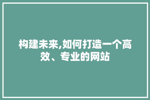 构建未来,如何打造一个高效、专业的网站
